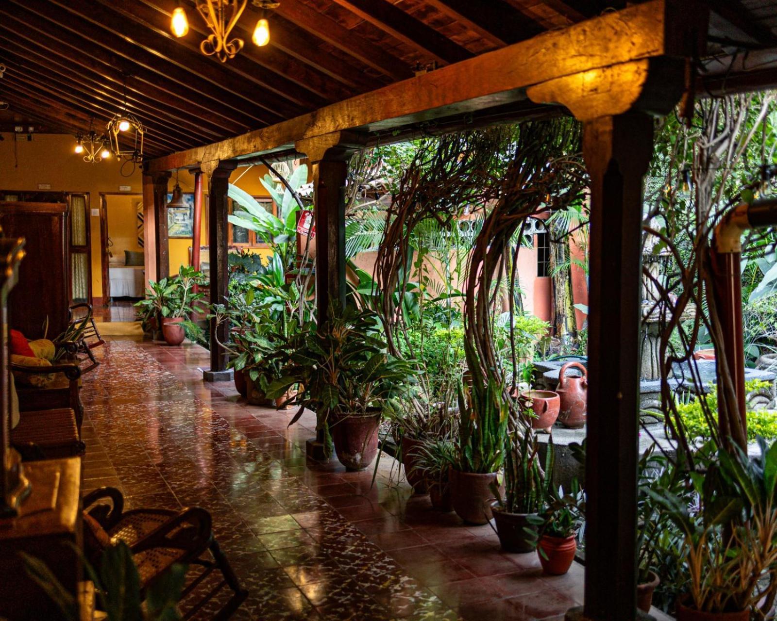 Hostal Fuente Castalia, B Y B León Esterno foto